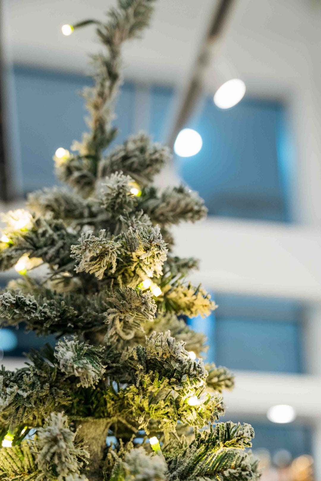 Arbol De Navidad 2